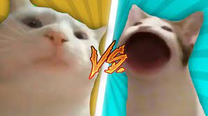 Discover and share the best gifs on tenor. Pop Cat Vs Vibing Cat Youtube