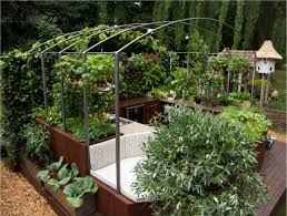 Designing A Hot Plot Patricia Fox Garden Chic Garden Design Hydroponic Gardening