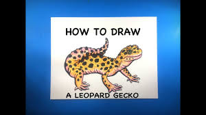 How to draw a cute and simple cartoon leopard in less than 3 minutes! How To Draw A Leopard Gecko Youtube