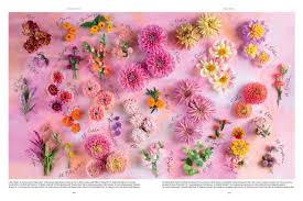 The {Farmer} & The Florist Interview: Zoë Field