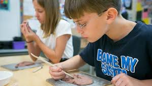 Pima Elementary in Scottsdale