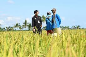 Maybe you would like to learn more about one of these? Bbpp Batu Menggembleng Daya Saing Puluhan Ribu Petani Dan Penyuluh Pertanian Jpnn Com