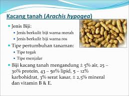 Mulai dari warna hijau daun, hijau teh, hijau tosca, hijau neon, hijau lemon, hijau rumput dan masih banyak jenis warna hijau lainnya. Penanganan Pascapanen Hasil Tanaman Kacang Kacangan Ppt Download