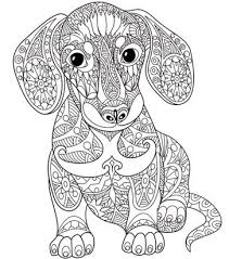 Dog Mandala Novocom Top