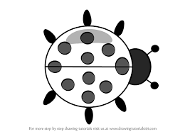 Lady bug drawing ladybird drawing bugs drawing painting lessons painting & drawing wood burning stencils lady bug tattoo san antonio butterfly drawing. Learn How To Draw Ladybug Cartoon Animals For Kids Step By Step Drawing Tutorials
