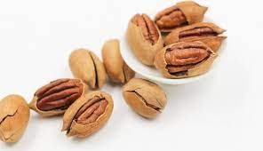 Check spelling or type a new query. Pecan Seed Germination Time Temperature Process Agri Farming