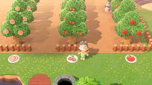 I Made Fruit Labels For My Orchard Ma 2662 8092 6889 Horizondesigns Animal Crossing New Animal Crossing Animal Crossing Qr