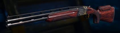 To put it short, in custom games there's no level or black market because you're not in public match. Which Is The Best Gun In Black Ops 3 Multiplayer Quora