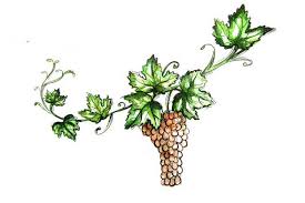 Fold each piece in half. How To Draw Vines Easy Simple And Step By Step