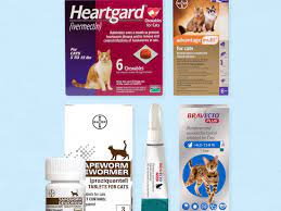 Diy natural, herbal, homeopathic dewormers. Best Cat Dewormers In 2021