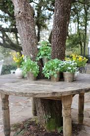 Garden Tree Benches That Will Impress You In 2020 Rustic Gardens Garden Inspiration Garden Junk
