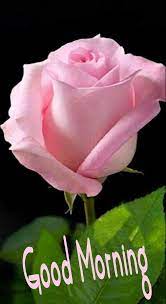 Maybe you would like to learn more about one of these? Pin By Blossom On Morning Wishes Good Morning Love Good Morning Romantic Good Morning Messages