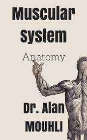 A short summary of this paper. Muscular System Anatomy The Human Body Muscles Anatomy Pictures By Dr Alan By Alan Mouhli Nook Book Ebook Barnes Noble