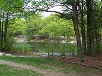 Rocky Woods Medfield Ma The Trustees Elbie Walks Water Access Dog Walking Allowed Places To Visit Night Hiking Rocky