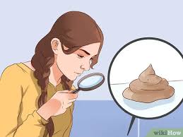 Aug 03, 2021 · forum zur ukraine: Die Gesundheit Anhand Der Kotfarben Oder Stuhlfarben Uberprufen 15 Schritte Mit Bildern Wikihow