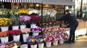 30 Tips to Lunch Flowers Business