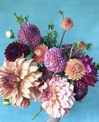 Maybe you would like to learn more about one of these? Bella Terra Flower Farm
