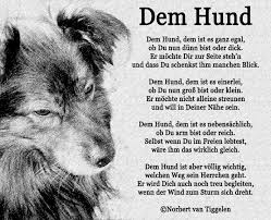 Van Tiggelen Gedichte Menschen Leben Weisheit Welt Erde Gesellschaft Gefuhle Grusse Hunde Tag Spruche Tiere Hunde
