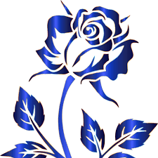 Flowers are not only beautiful. Blue Rose Florists Home Facebook