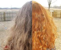 Henna Hair Dye Henna Hair Color Henna Natural Hair Henna Hair Dyes