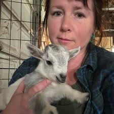 It is with immense sadness that the Capel Military Show announces the death  of Phil Harris. One of the original directors that formed the show, Phil's  passion for the military started when