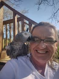 Jason Aman's Instagram, Twitter & Facebook