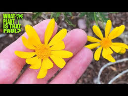 We did not find results for: The Plantation Flower Coupon Code 08 2021