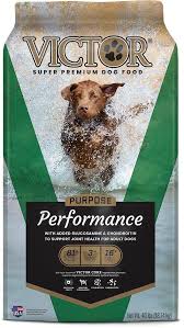 Here are our top three picks of the best dog food for pitbull puppies to gain muscle! 10 Healthiest Best Dog Food For Pitbulls In 2021