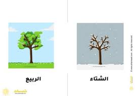 بطاقات الفصول الأربعة للاطفال علوم للاطفال شمسات home decor decor frame