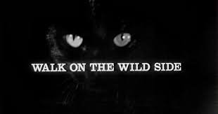 DREAMS ARE WHAT LE CINEMA IS FOR...: WALK ON THE WILD SIDE 1962