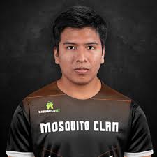MosquitoClan