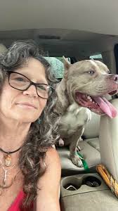 Lost dog found at smith and Minden south buffalo/first ward area