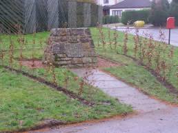 Battle of Linlithgow Bridge - Aims