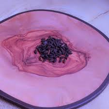 Geranium maderense (Madeira Cranesbill) 5 to 25 Seeds