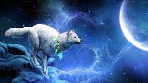Laptop 1366x768 Wolf Wallpapers Hd Desktop Backgrounds 1366x768 Fantasy Wolf Wolf Pictures Animal Wallpaper