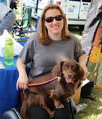 Our devoted team of experienced vets, nurses, groomers and support staff. Our Team At Homeward Bound Mobile Vet