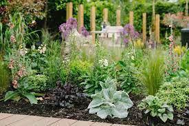 As the region's premier garden center nurseries and landscaper, we are dedicated to helping you take care of your yard, garden and outdoor space. Planting The Garden Doctors