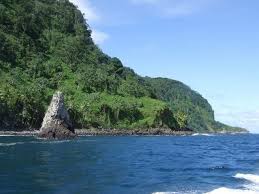 Image result for Cocos