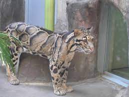 Sign Up Cute Animal Pictures Animals Animals Wild
