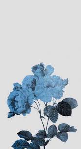 Pastel Blue Aesthetic Wallpaper Iphone 57 Super Ideas In 2020 Blue Wallpaper Iphone Blue Wallpapers Light Blue Aesthetic