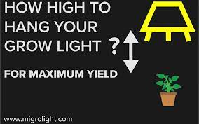 Learn How High To Hang Your Grow Light For Maximum Yields