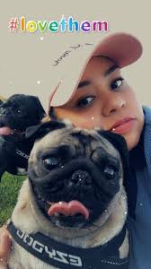 Coconut and Muffin rescued together as best friends