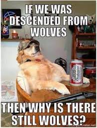 13 Red Neck Dogs Ideas Dogs Funny Dogs Funny