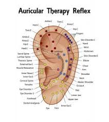 auriculotherapy and reflexology alternative and home therapies