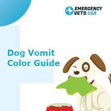 Dog Vomit Color Guide Dog Throwing Up Dog Upset Stomach Dogs