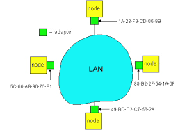 By contrast, a wide area network (wan) not only covers a larger geographic distance. Lan Addresses And Arp