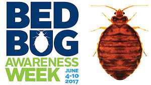 The recent spike in populations across the country. Bed Bugs What Every Camp Needs To Know American Camp Association