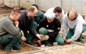 Sicherstellen des reibungslosen bauablaufes mit. Garten Und Landschaftsbau Diakoniewerk Duisburg Das Diakoniewerk Arbeitet Als Gemeinnutzige Gesellschaft Seit 1979
