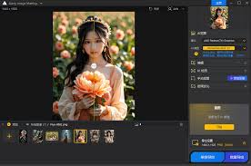 Aiarty Image Matting v2.6.0 智能抠图工具中文便携版- 易破解