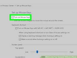 A lot of the mouseless navigation works without this step, but it's better to enable it anyway. How To Use Your Computer Without A Mouse